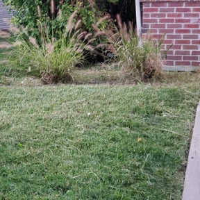 Flower Bed Weeding by Contreras Outdoors reviewed on August 14, 2024
