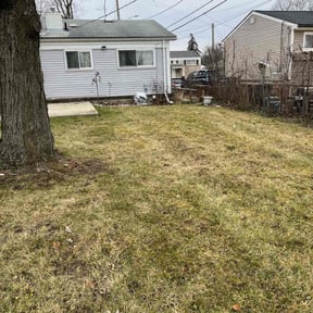 Leaf Removal by Big Chief Lawn Care reviewed on May 16, 2022