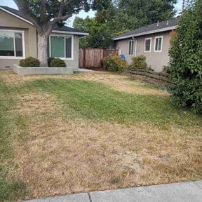 Bush Trimming by A&W Quality Lawn Care reviewed on July 3, 2022