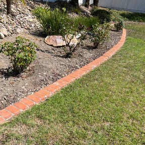 Cleanups by Blue Lagoon Lawn Service reviewed on September 21, 2021