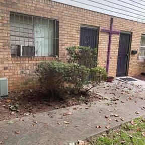 Bush Trimming by DILLARD'S LANDSCAPING reviewed on November 3, 2024