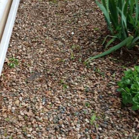Leaf Removal by The Lawn Cypress reviewed on December 5, 2024