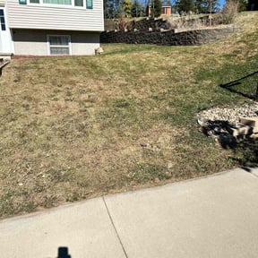 Leaf Removal by Jack Catlin reviewed on March 5, 2022