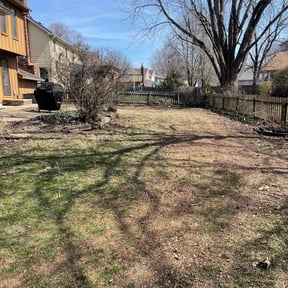 Leaf Removal by The Lawn Cypress reviewed on December 5, 2024
