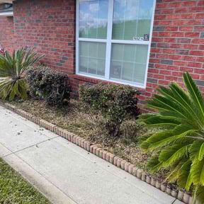 Bush Trimming by Jernie Lawn Care reviewed on July 5, 2022