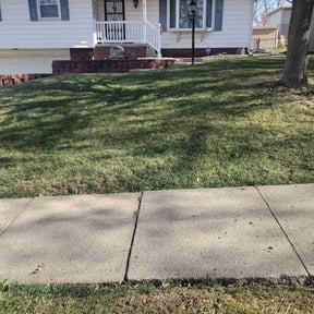 Leaf Removal by Dump N&#039; Dash Dumpsters LLC reviewed on July 5, 2025