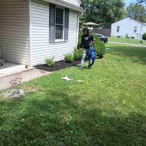 Mulching by Natural vibe maintenance service reviewed on May 24, 2025