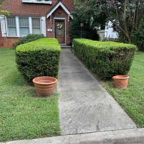 Bush Trimming by Alcazar Landscaping reviewed on July 16, 2020