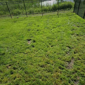 Lawn Seeding by Wright Now Landscaping L.L.C reviewed on September 4, 2024