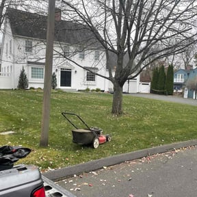 Leaf Removal by See Real Cuts reviewed on November 28, 2022