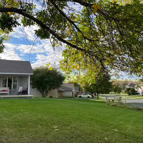 Leaf Removal by Mccutcheon lawn service reviewed on July 8, 2022