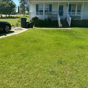 Bush Trimming by Elite Mowing Services reviewed on August 1, 2022