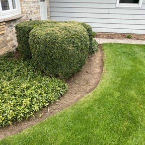 Flower Bed Weeding by LD Brown Landscaping And Pressure Washing reviewed on June 15, 2022