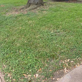 Cleanups by Unlimited Lawn Care reviewed on June 3, 2022