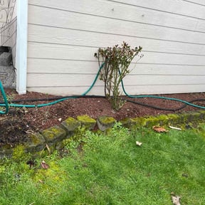Flower Bed Weeding by Top Chopper: Lawn Care & Pressure Washing reviewed on August 1, 2022