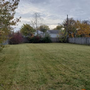 Cleanups by 2 Leaf Landscape reviewed on July 5, 2022