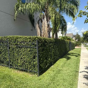 Bush Trimming by New Horizon Landscapes LLC reviewed on May 14, 2022