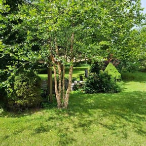Bush Trimming by Nextdoor Lawn Services LLC reviewed on April 28, 2022