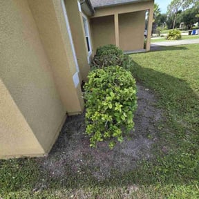 Bush Trimming by Mow It Alls Of Vero LLC reviewed on February 9, 2025