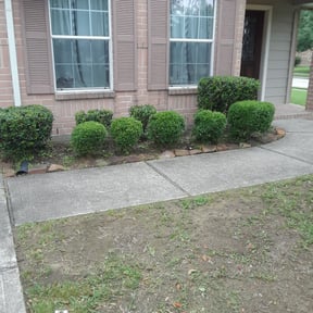 Flower Bed Weeding by Humberto's Lawn care reviewed on February 27, 2025