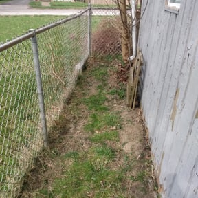 Cleanups by Mow & Go reviewed on May 6, 2022