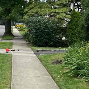 Bush Trimming by Hensley Property Management reviewed on June 9, 2022
