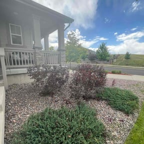 Bush Trimming by Old Skool Outdoorz, LLC reviewed on October 16, 2022