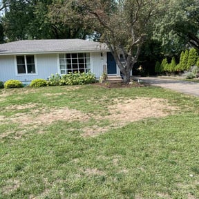 Leaf Removal by Handsome Boy’s LLC reviewed on June 19, 2022