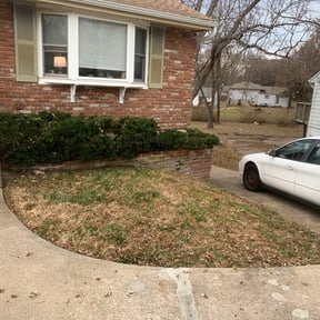 Bush Trimming by Chuyin's Lawn Care LLC reviewed on May 19, 2022