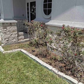 Bush Trimming by Band of Blades reviewed on July 9, 2025