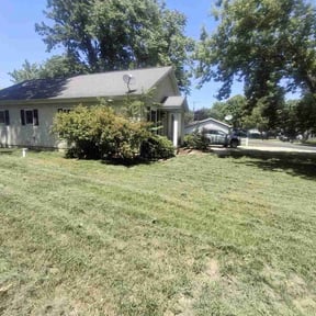 Bush Trimming by P&A Landscaping reviewed on June 19, 2022