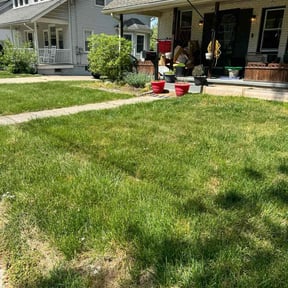 Flower Bed Weeding by Mckinneys Lawn & Tree Care reviewed on June 22, 2022