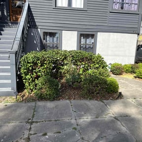 Bush Trimming by Emerald Lawns reviewed on March 5, 2025