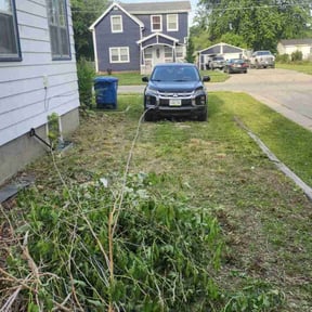 Weeding by Reliable landscapingllc reviewed on July 18, 2022