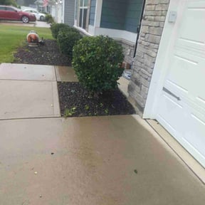 Bush Trimming by Stream Scene Landscaping reviewed on August 2, 2024