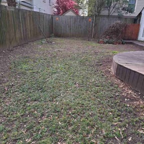 Cleanups by Greene enterprise reviewed on March 18, 2025