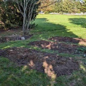 Cleanups by Andy's Lawn Services reviewed on July 10, 2022