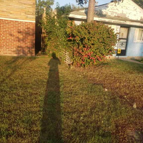 Bush Trimming by Frederickson Lawn Management reviewed on May 9, 2022