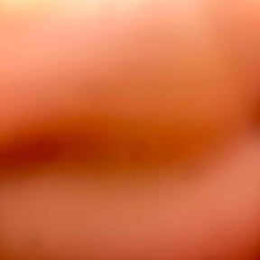 Bush Trimming by Los Koras Lawn Care reviewed on June 26, 2025