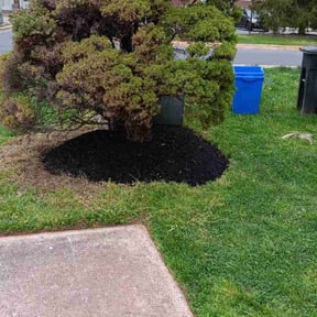 Cleanups by Hector's Lawn Care reviewed on August 7, 2022