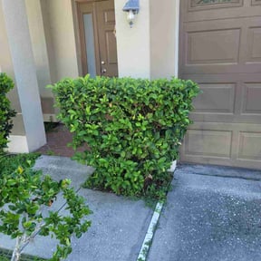 Bush Trimming by Brent Walters reviewed on May 15, 2025