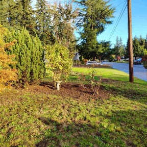 Weeding by M & F Landscaping Services LLC reviewed on November 9, 2021