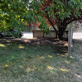 Cleanups by Steve’s mowing company reviewed on June 7, 2022