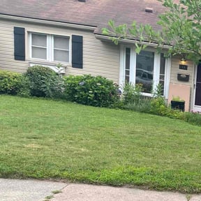 Bush Trimming by Smith family lawn service reviewed on June 27, 2022