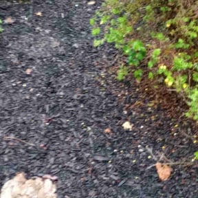 Flower Bed Weeding by RhodenColes Investments reviewed on July 1, 2022