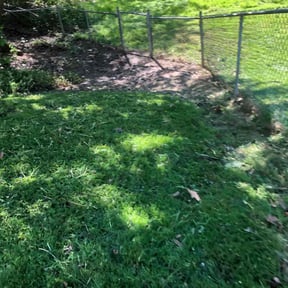 Leaf Removal by Terry Collins reviewed on May 26, 2022