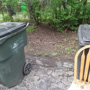 Cleanups by Yard Dr. LLC reviewed on April 24, 2022