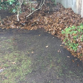 Cleanups by K&#039;s Lawn Care reviewed on April 5, 2025