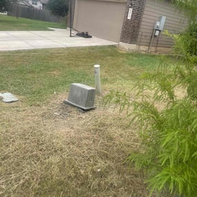 Bush Trimming by Dj Fresh cuts reviewed on June 3, 2022
