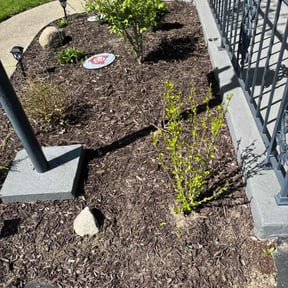 Flower Bed Weeding by Epic Lawn Care reviewed on October 17, 2024